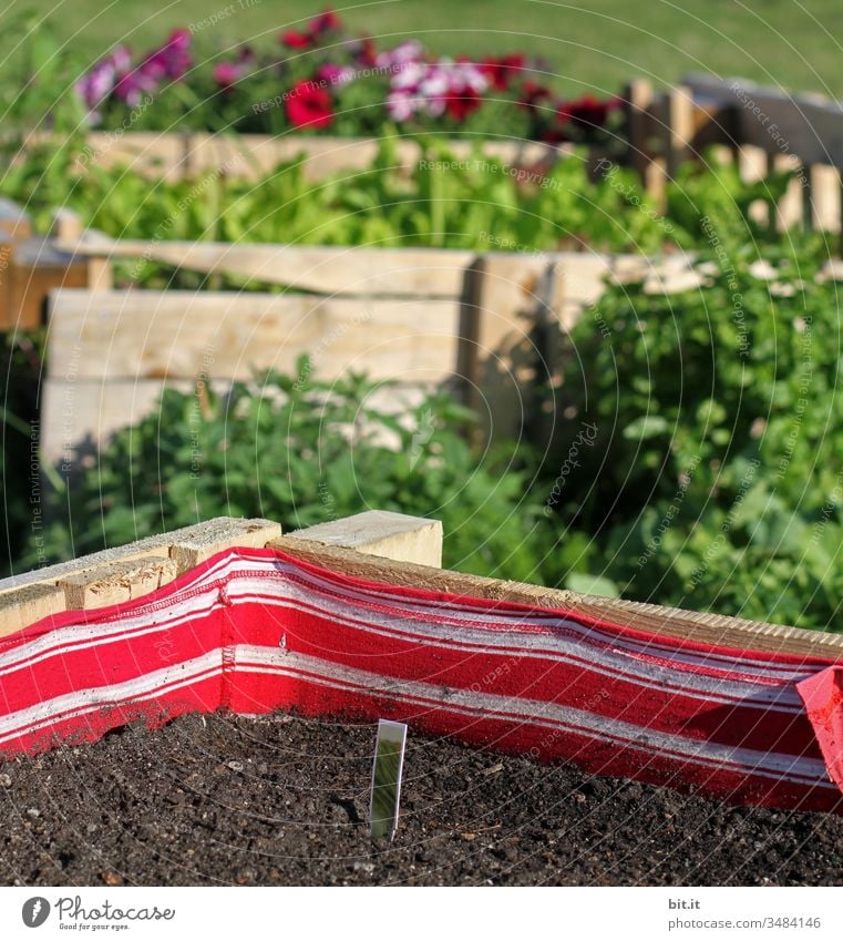 Jetzt ärgerte sie sich, dass sie aus dem letzten Stoffrest keine Maske genäht hatte. Garten Beet Aussaat Pflanzen Urban Gardening säen Gartenbeet Hochbeet