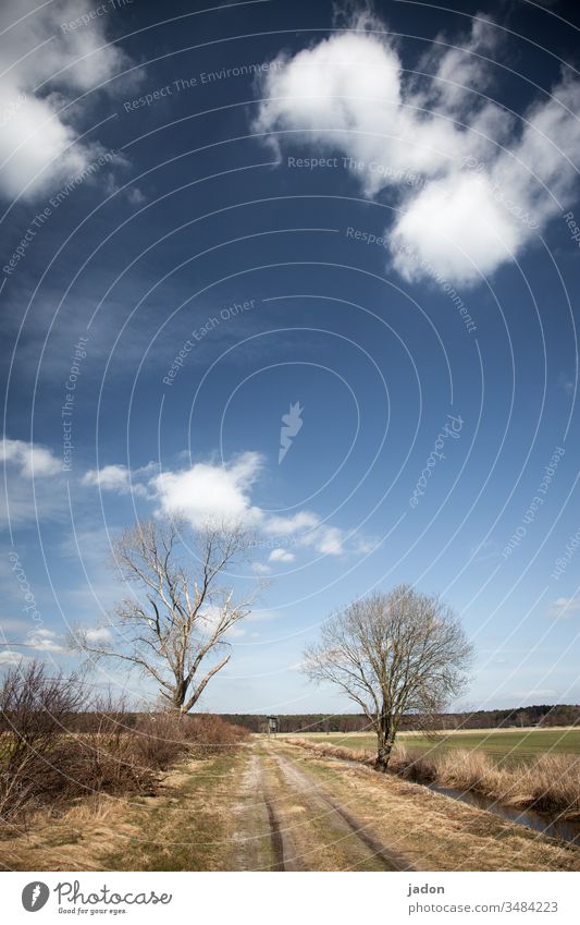 wege gehn wo bäume stehn. blau-weisses dach, das land liegt flach. kein vogel am himmel, kein menschengewimmel. kurzes gras und stille stehn, sonst nichts.