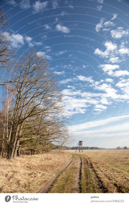 landschaft mit weg, bäumen und hochsitz,  bis zum horizont reichend. Landschaft Feld Ackerland feldweg Natur Landwirtschaft Ackerbau ländlich grün Gras