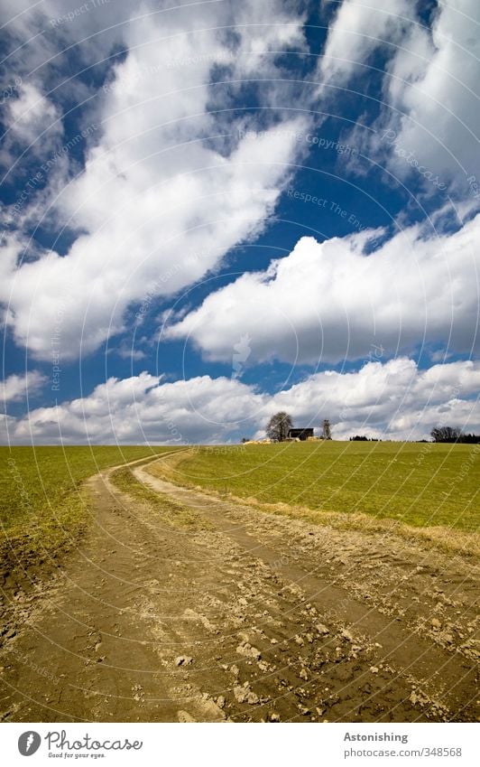 hinauf Umwelt Natur Landschaft Pflanze Erde Luft Himmel Wolken Horizont Frühling Wetter Schönes Wetter Baum Gras Wiese Feld Hügel Wege & Pfade blau braun grün