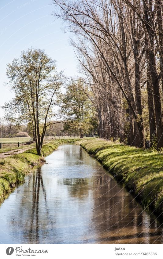 kleiner fluss, wanderweg, allee, bäume. Fluss Wasser Wassergraben Spiegelung Baum Allee Reflexion & Spiegelung Bach Natur grün Landschaft Außenaufnahme Farbfoto