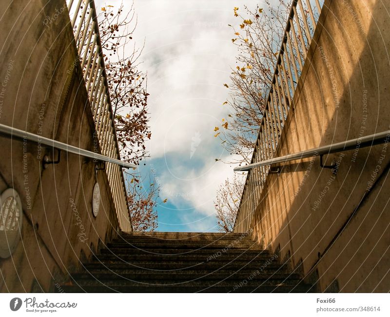 was erwartet mich... Himmel Wolken Frühling Sträucher Grünpflanze Stadt Stadtzentrum Tunnel Gebäude Treppengeländer Parkhaus Mauer Wand Autofahren PKW