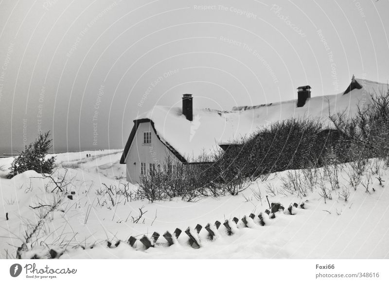 Zeitumstellung I der Winter steht vor der Tür Landschaft Luft Wasser nur Himmel Klimawandel schlechtes Wetter Wind Eis Frost Schnee Baum Sträucher Küste Strand