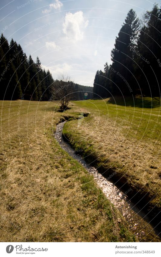 Flussabwärts Umwelt Natur Landschaft Pflanze Luft Wasser Himmel Wolken Frühling Wetter Schönes Wetter Wärme Baum Gras Sträucher Wiese Wald Bach dünn klein blau