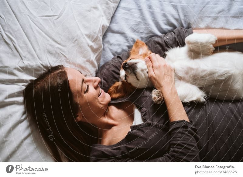 junge Frau und Hund zu Hause auf dem Bett liegend. Liebe, Zweisamkeit und Haustiere im Haus heimwärts aussruhen schlafen Zusammensein Zusammengehörigkeitsgefühl