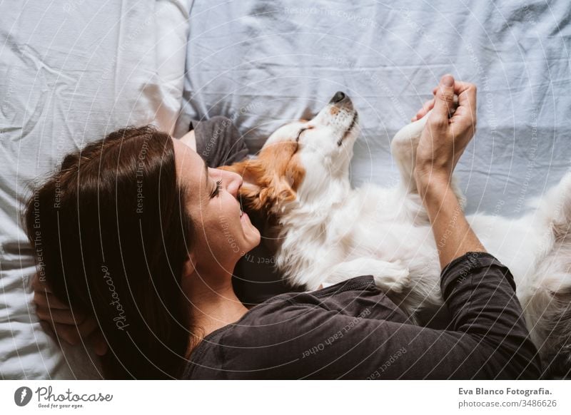 junge Frau und Hund zu Hause auf dem Bett liegend. Liebe, Zweisamkeit und Haustiere im Haus heimwärts aussruhen schlafen Zusammensein Zusammengehörigkeitsgefühl