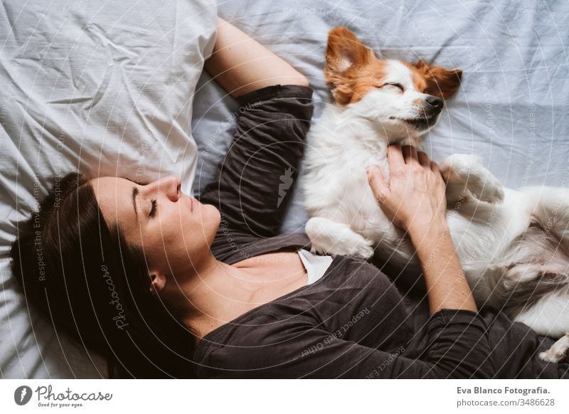 junge Frau und Hund zu Hause auf dem Bett liegend. Liebe, Zweisamkeit und Haustiere im Haus heimwärts aussruhen schlafen Zusammensein Zusammengehörigkeitsgefühl