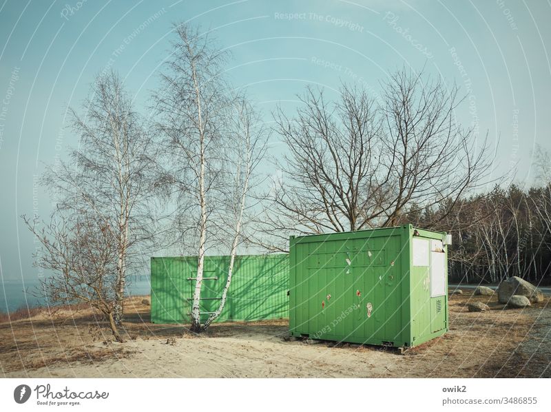 In den Sand gesetzt Container grün Baucontainer zwei Bäume Wald Himmel See Lausitz Ostdeutschland Bärwalder See Steine Erdboden Gras Sträucher Textfreiraum oben