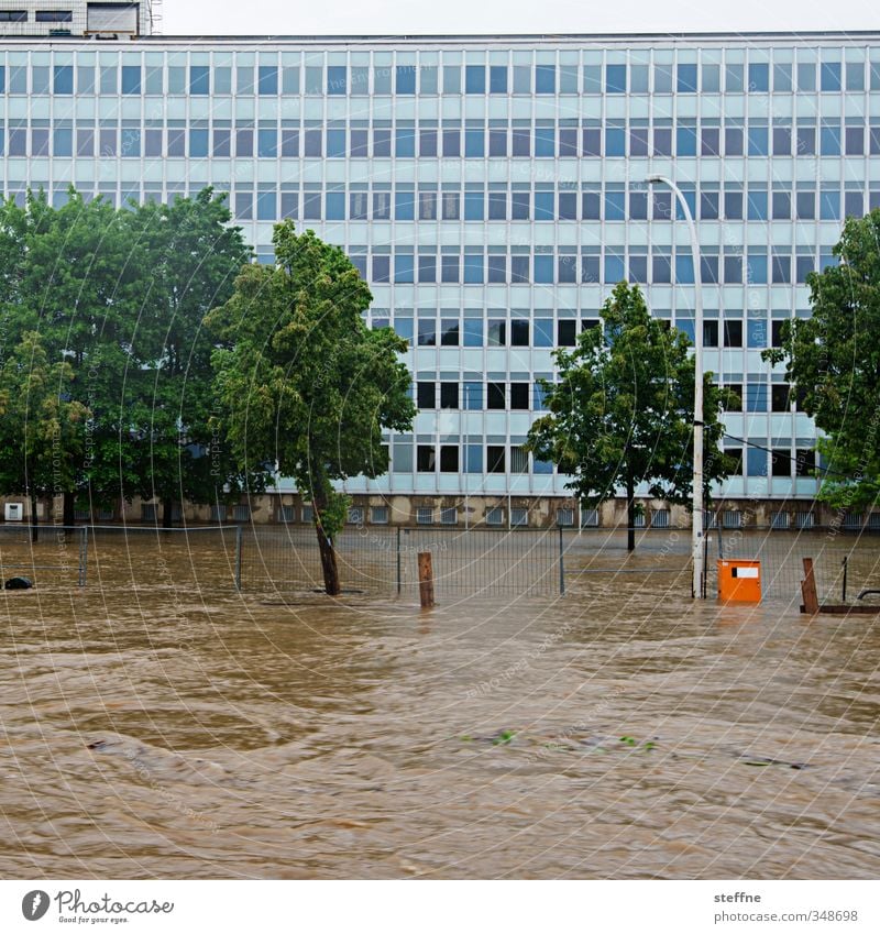 Wasserstraße Umwelt Natur Klima Klimawandel Wetter schlechtes Wetter Regen Baum Verkehr gefährlich Überschwemmung überschwemmt Hochwasser Flutwelle Farbfoto