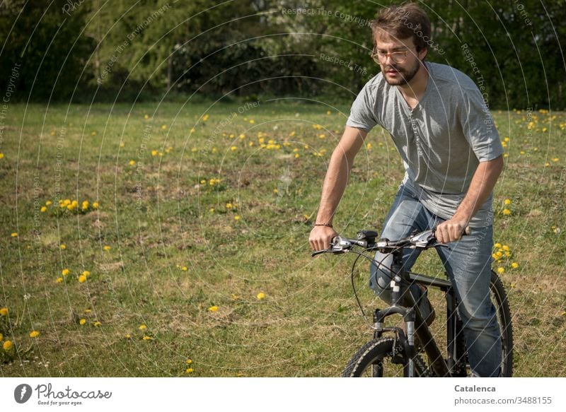 Ein junger Mann  fährt mit seinem Mountainbike auf eine mit Löwenzahn gespickten Wiese maskulin Mensch 1 Fahrrad Fahrradfahren Gras Pflanze Blume Natur Grün