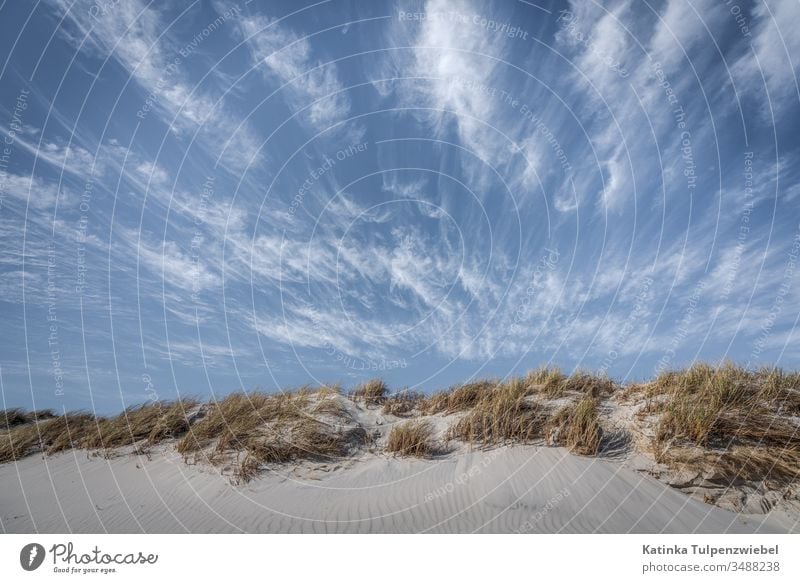 Im Aufwind der Dünen Sommer Strand Insel elegant blau Natur Tag Außenaufnahme minimalistisch Farbfoto Menschenleer Deutschland Gefühle einzigartig Nordsee