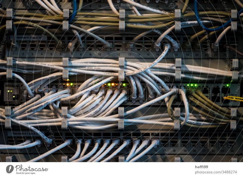 Netzwerk Switch im Serverraum Netzwerkkabel netzwerkknoten Rack 19 Computertechnik netzwerktechnick Verbindung Sicherheit Netzwerksicherheit Datenleitung