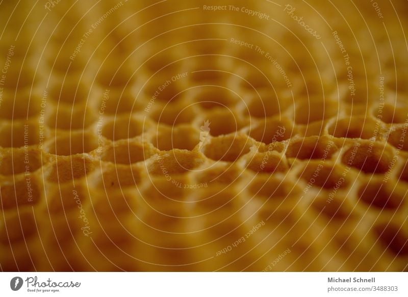 Bienenwaben Honig Waben orange sechseckig Wachs Honigbienen Bienenstock Natur Imker Imkerei