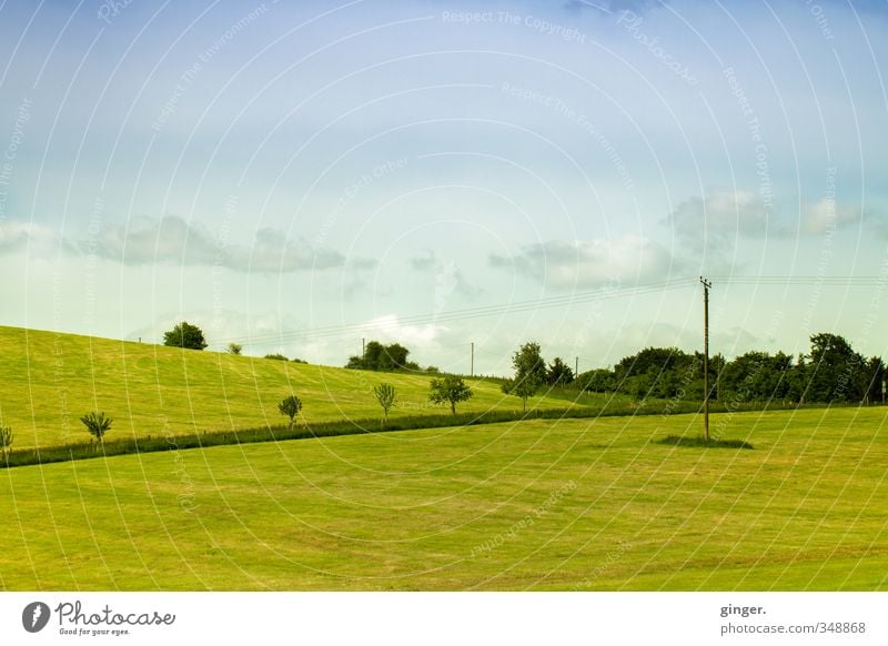 Bergische Landschaftsmalerei Umwelt Natur Luft Himmel Wolken Horizont Sonnenlicht Frühling Schönes Wetter Pflanze Baum Gras Wiese Feld Hügel ästhetisch