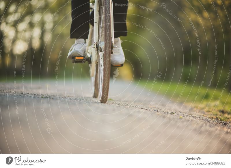 Junger Mann unterwegs Rad III Fahrrad Verkehr Straße Fahrradweg fahren Verkehrsmittel Verkehrswege Wege & Pfade Fahrradfahren Bewegung Straßenverkehr