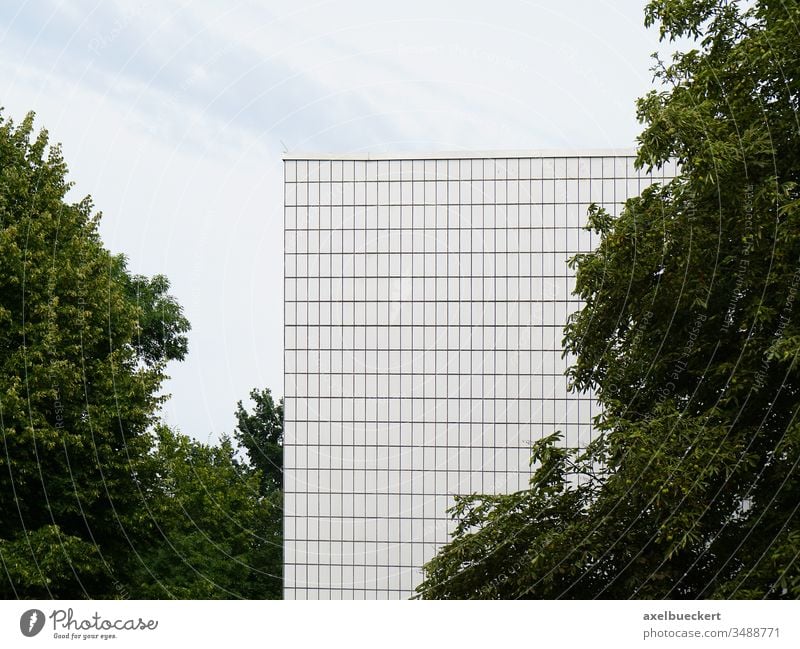 moderne Architektur und Natur Moderne Architektur Baum Gebäude Minimalismus Fassade Haus Bauwerk Tag urban abstrakt detail Kacheln weiß Garten