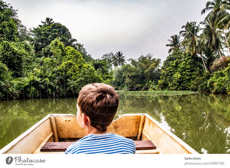 entdecker Ferien & Urlaub & Reisen Asien Ferne Abenteuer Ausflug Urwald außergewöhnlich Fernweh fantastisch Freiheit Tourismus Malaysia Borneo besonders