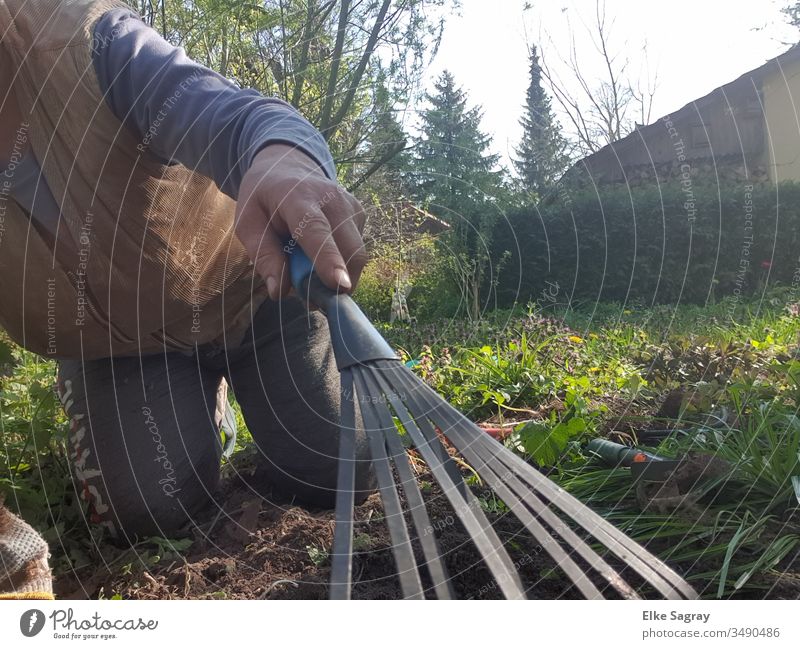 Beet für die Aussaat vorbereien Garten Arbeit Frühjahrsarbeit Außenaufnahme Natur Harke Freizeit & Hobby Werkzeug