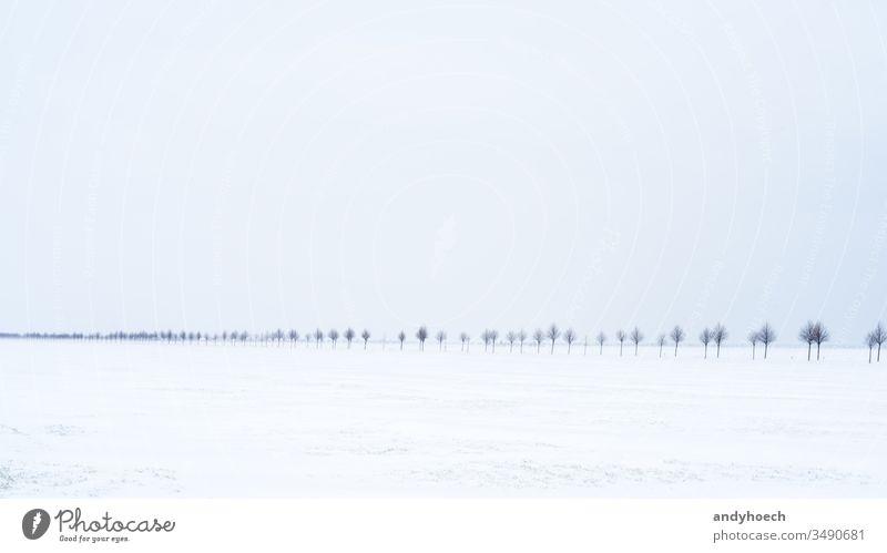 Die Straße im Schnee Allee Hintergrund schön blau verschwommen chaotisch übersichtlich kalt cool Textfreiraum Land Gefahr gefährlich Feld frieren Frost gefroren