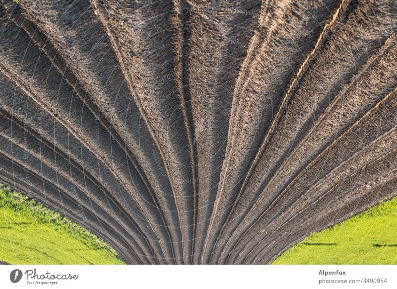 lecker Spargel ? Ansichtssache Acker Farbfoto Ackerboden Ackerbau Landwirtschaft Außenaufnahme Landschaft kopfüber Feld Menschenleer Ernte Umwelt Spargelzeit