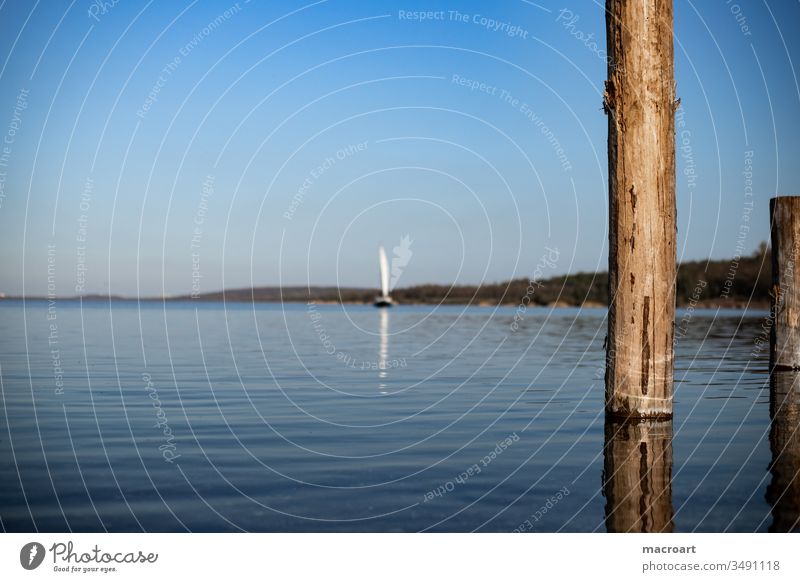 Segelboot und Holzpflöcke im Wasser- Buhnen see segelboot segeln schiff wasser gewässer tag aussenaufnahme meer schutz wellenbrecher holzpflöcke holzstämme