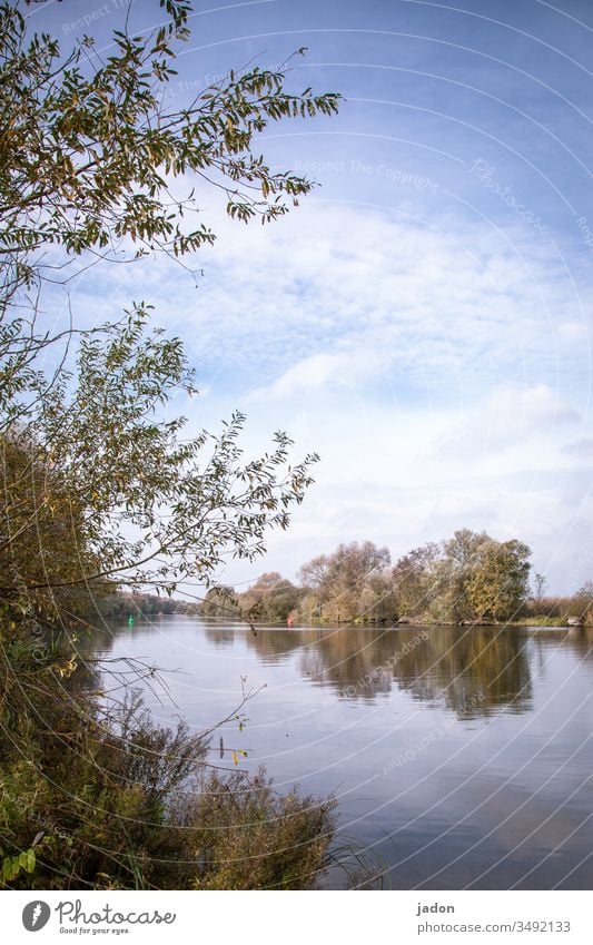 der fluss liegt still, noch ist april. weisse wölkchen ziehn vorbei, morgen ist mai. Flusslandschaft Wasser Außenaufnahme Natur Landschaft Farbfoto Menschenleer