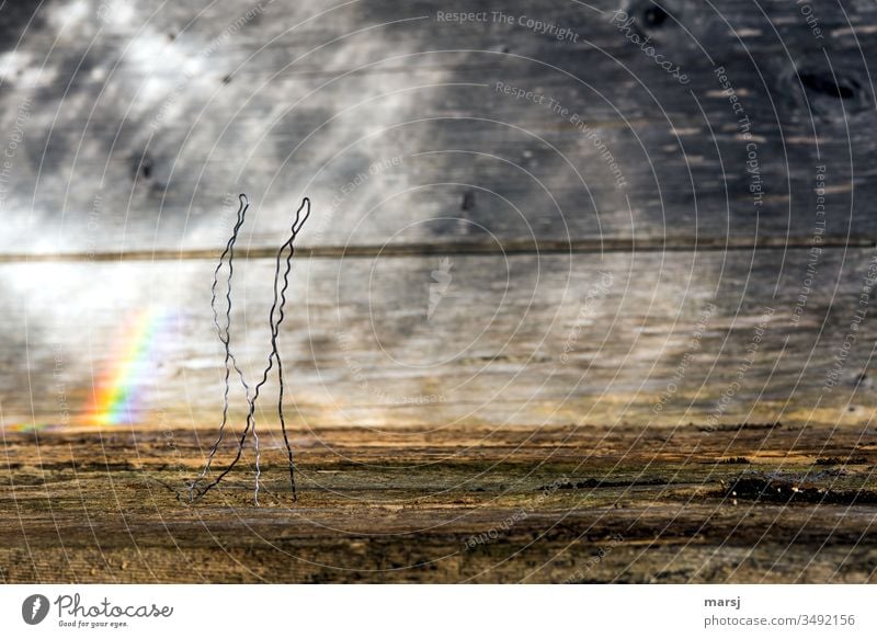 Zwei Leute (einer Schwarz, einer Weiß) gehen, in Gedanken verloren, spazieren 2 Paar Mensch Bewegung Regenbogen Verschiedenheit Sympathie Verschwiegenheit