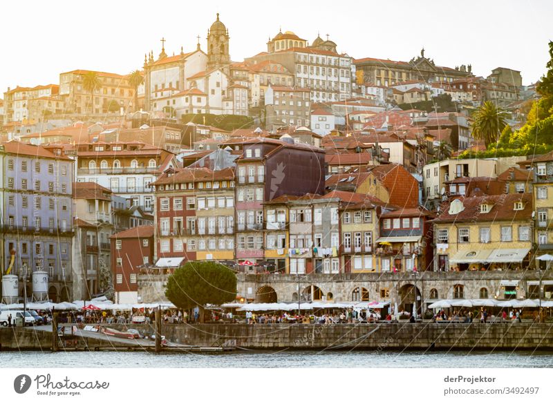 Porto im Abendlicht Panorama (Aussicht) Totale Zentralperspektive Starke Tiefenschärfe Sonnenuntergang Sonnenstrahlen Sonnenlicht Silhouette Kontrast Schatten