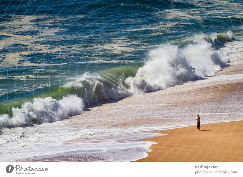 Immer schön Abstand halten in Nazaré Wellengang schwimmen Sonne Sonnenlicht Herausforderung Außenaufnahme Starke Tiefenschärfe Tourismus Ausflug Sommer