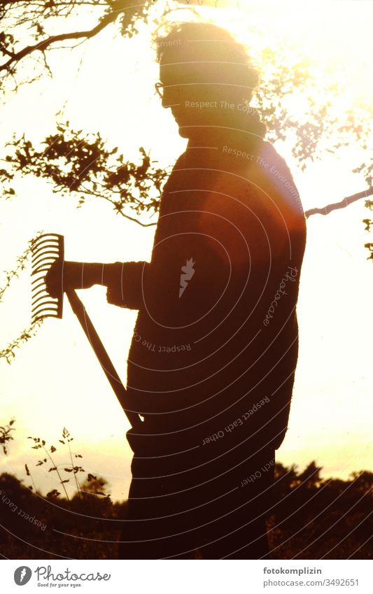 Silhouette eines Mannes mit Rechen im gelbgoldenen Gegenlicht Sonnenuntergangslicht Sonnenuntergangsstimmung Gärtner Gartengerät gartenarbeit Bauer