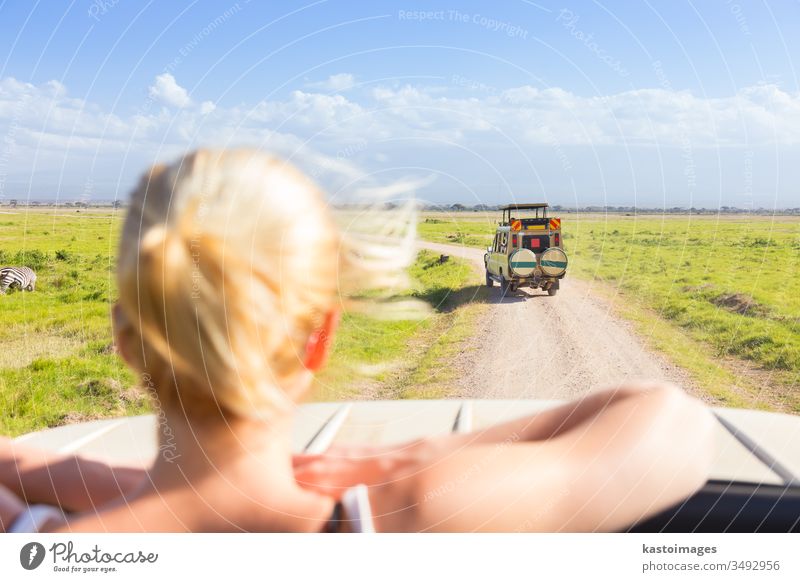 Frau auf afrikanischer Wildsafari. Safari Afrika Jeep Tourismus Fahrzeug Abenteuer Natur Reserve Tourist Transport Park Ausflug Tier Tierwelt Erwachsener PKW