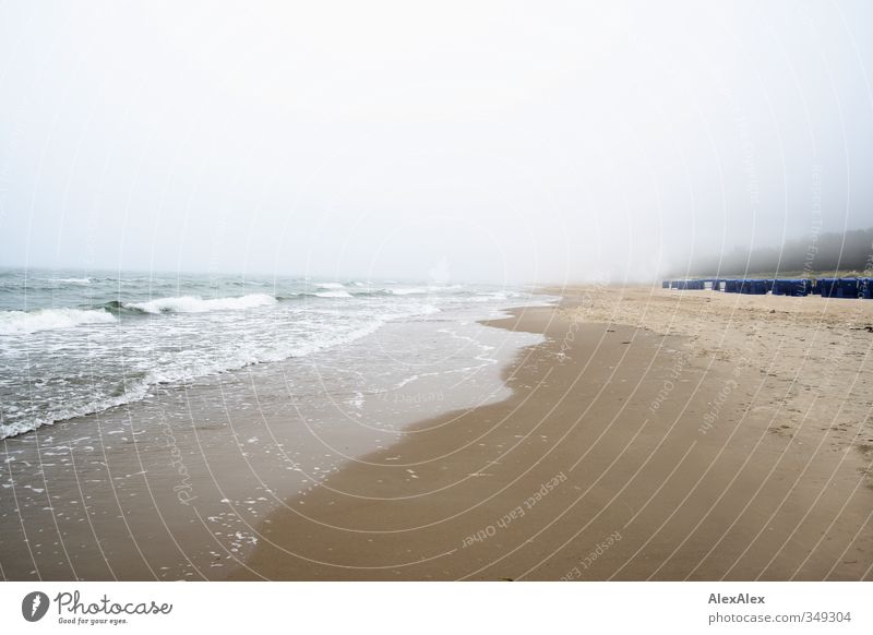 Ferien im Nebel Ferien & Urlaub & Reisen Tourismus Ausflug Ferne Strand Meer Insel Wellen Ostsee Küste Stranddüne Sand authentisch kalt nass natürlich blau gelb