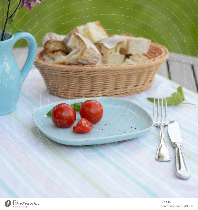 Magerkost II Gemüse Brot Tomate Ernährung Vegetarische Ernährung Teller Messer Gabel Blume Garten Wiese Vase Gesundheit hell lecker blau Farbfoto Außenaufnahme