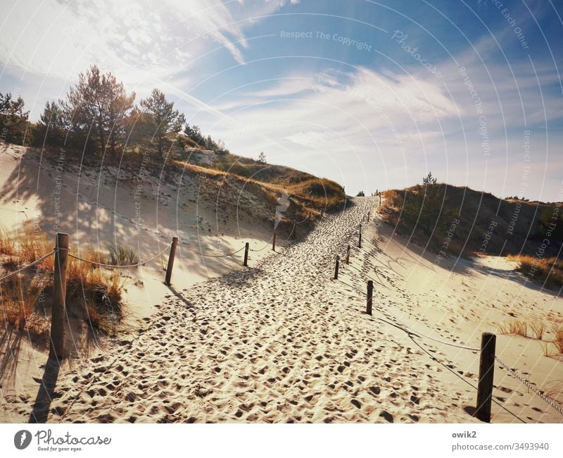 Winter war hart Sand Wüste Weg Spuren Polen Naturpark Slowinski Nationalpark Ostseeküste Außenaufnahme Landschaft Farbfoto Menschenleer Himmel