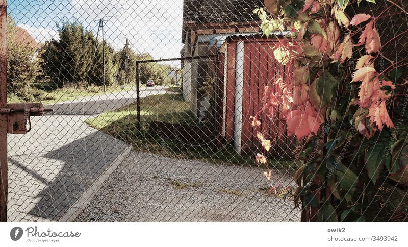 Alte Gasse Tor Toreinfahrt Dorf Polen Osteuropa Klinke geöffnet weit offen Haus Mauer Straße Straßenrand Bäume Strommast Himmel Asphalt Kies Weinstock Blätter