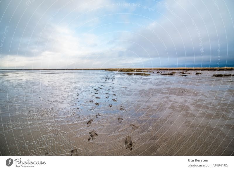 Fußspuren im Watt Wattenmeer Wattwandern Nordsee Meer Außenaufnahme Wasser Ebbe Küste Ferien & Urlaub & Reisen Ferne Himmel Reflexion & Spiegelung blau Umwelt