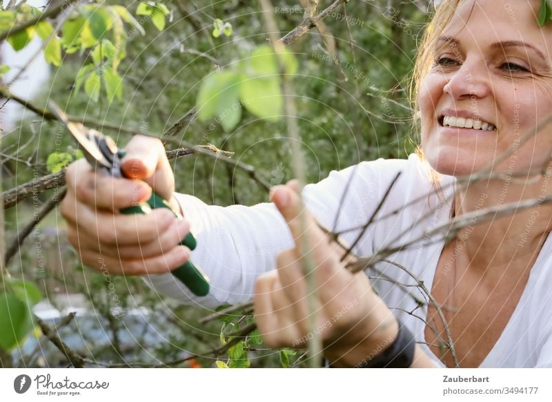 Gärtnerin lächelt und schneidet einen Zweig mit der Gartenschere schneiden lächeln beschneiden grün T-Shirt weiß Hände Mensch schön Natur Frühling