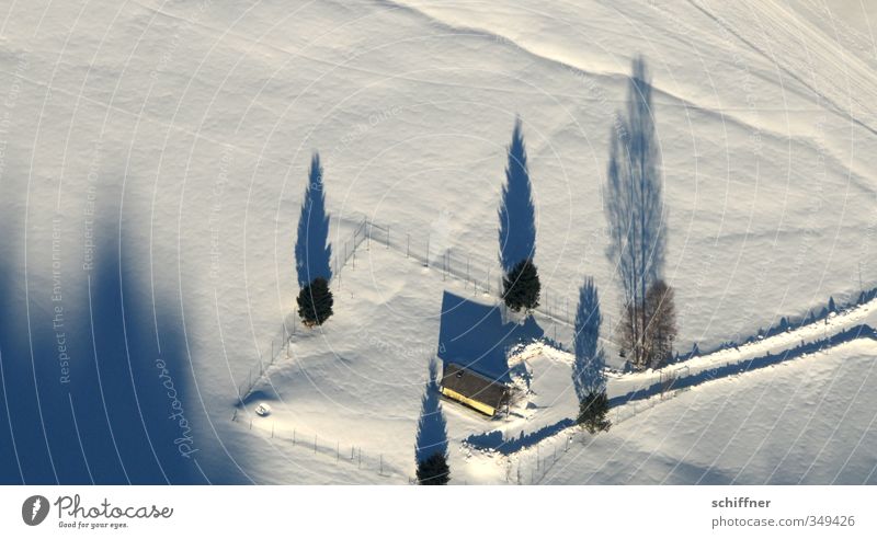 Schattendasein II Umwelt Natur Landschaft Winter Schönes Wetter Eis Frost Schnee Baum Berge u. Gebirge kalt Haus Bauernhof Wege & Pfade Schneelandschaft