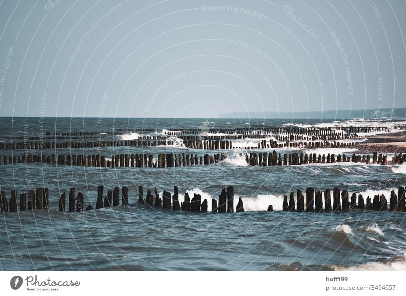 Wellengang mit Buhnen an der Ostsee Ostseeküste Dünung Gischt bewegte see Strand Küste Meer Wasser Sturm Mecklenburg-Vorpommern Holz Tourismus Erholung Idylle