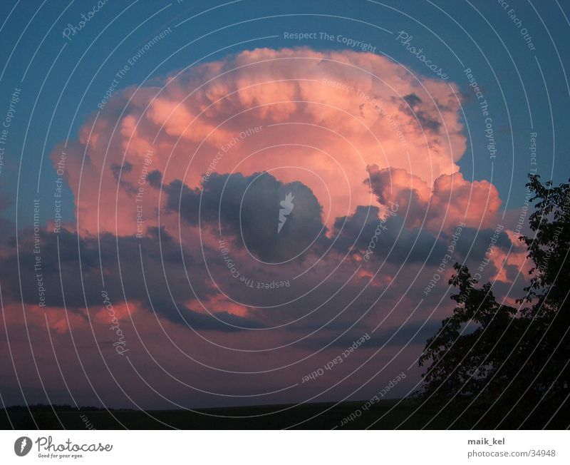 Gewitterwolke im Abendrot Wolken Unwetter Abenddämmerung Himmel Cumulunimbus Natur