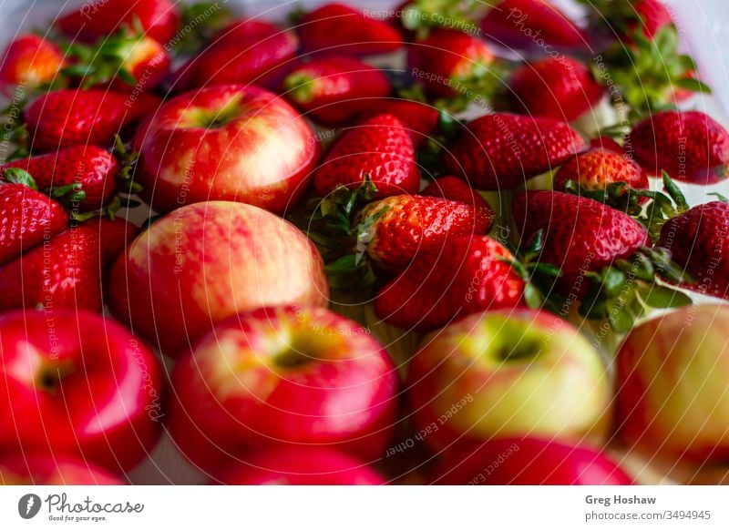 Frische Bio-Erdbeeren und Äpfel schwimmen in einer Wanne mit Wasser Diät Lebensmittel Ernährung Gesundheit Food-Fotografie frisch Veganer Vitamin Essen