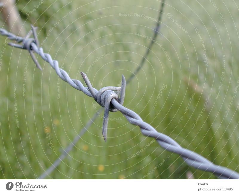 STACHELdraht Stacheldraht Zaun Fototechnik