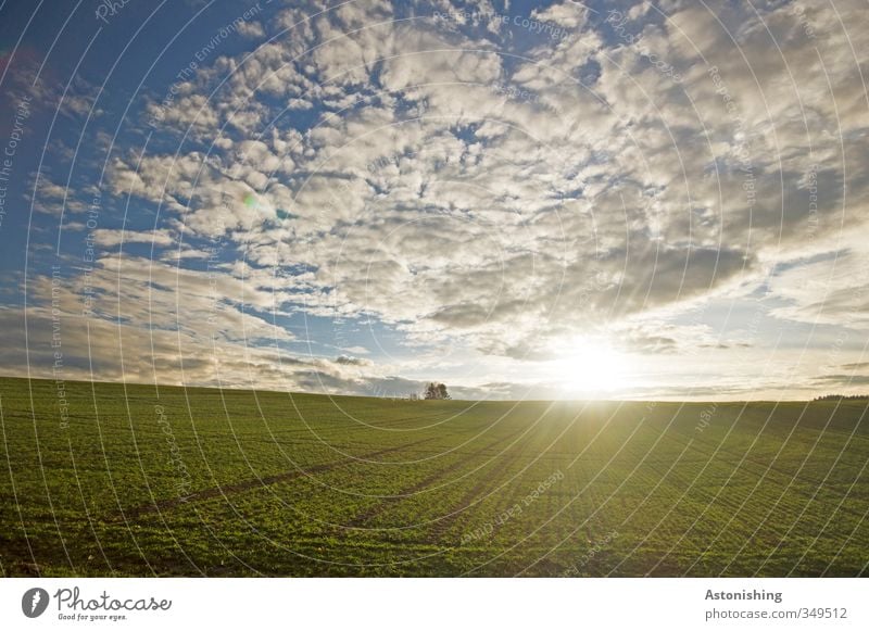 Abendsonne III Umwelt Natur Landschaft Pflanze Luft Himmel Wolken Horizont Sonne Sonnenaufgang Sonnenuntergang Sonnenlicht Sommer Wetter Schönes Wetter Wärme