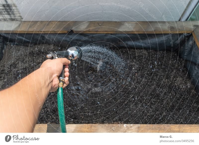 Hand mit einem Schlauch zum Bewässern Hobby Gartenarbeit Sprühen Gärtner Bewässerung Wasser Zimmerpflanze Pflanze Wachstum Pflege Blumentopf Gießen Haus Baum