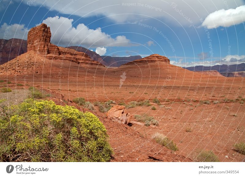 vor langer Zeit... Ferien & Urlaub & Reisen Tourismus Abenteuer Ferne Freiheit Umwelt Natur Landschaft Pflanze Himmel Wolken Klima Klimawandel Blume Sträucher