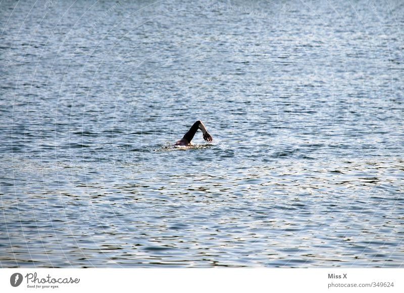 Stille Wasser sportlich Fitness Freizeit & Hobby Sommerurlaub Wellen Sport Schwimmen & Baden Mensch Arme 1 Nordsee Ostsee Meer See Gefühle Willensstärke