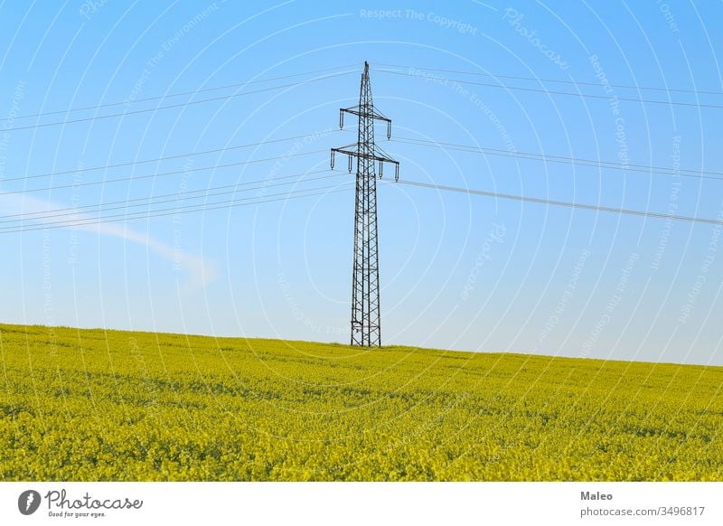 Strommasten in einem blühenden Rapsfeld Elektrizität Feld gelb Ackerbau Energie Landschaft Natur Pflanze Pylon Blüte Kabel Himmel Industrie Kraft blau Ernte