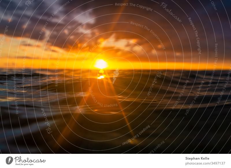 Mitten im Wasser bei einem traumhaften Sonnenuntergang mit Blick in die Sonnenstrahlen am Horizont Meer Urlaub Reise baden schwimmen Detail