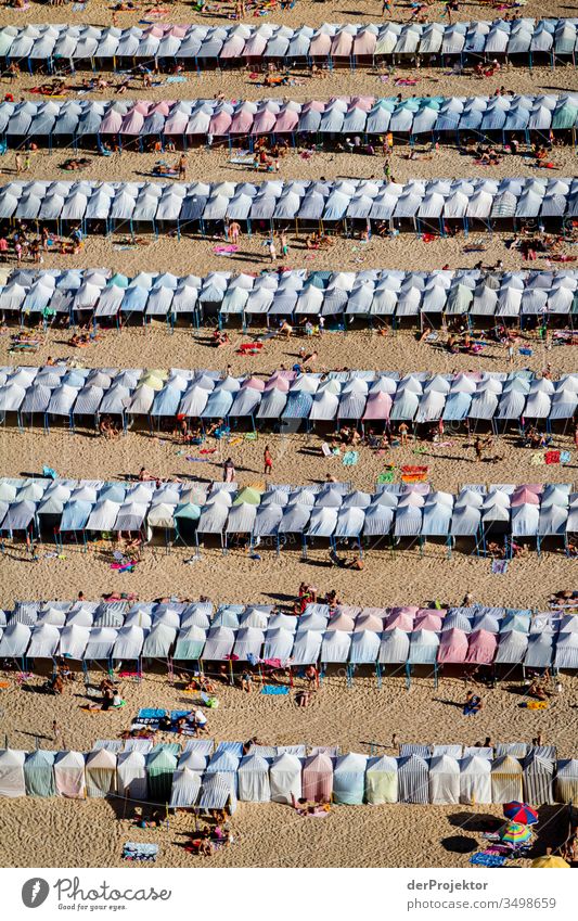 Klare Linien, aber zu wenig Abstand am Strand von Nazaré Meeresstrand Landschaft Menschenmenge Ferien & Urlaub & Reisen Willensstärke Luftaufnahme Abenteuer