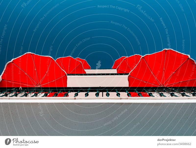 Rot-weiß-blau: Sonnenschirme in Nazaré Freude Erholung Nazare Portugal Schwimmen & Baden Freizeit & Hobby Europa Küste Ferien & Urlaub & Reisen Schönes Wetter